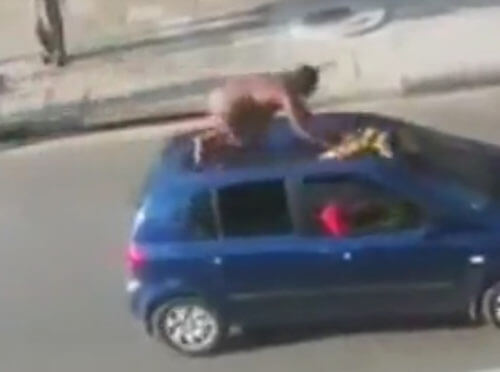 Раздевшись догола, женщина попрыгала на крыше автомобиля