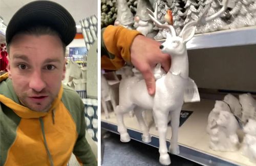 Покупатель разглядел гениталии у фигурки рождественского оленя
