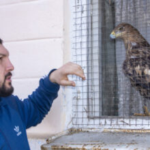 Осетинский Айболит: как зоолог превратил свой дом в приют для зверей и птиц