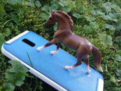 Приклеенная к телефону игрушечная лошадь теперь присутствует на каждом фото своей хозяйки