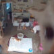 Камера видеонаблюдения очень интересует любопытного кота