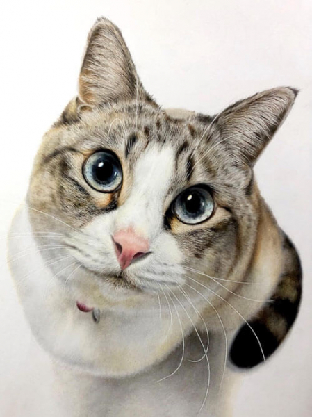 Гиперреалистичные нарисованные кошки выглядят как живые