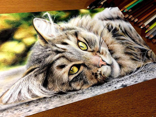 Гиперреалистичные нарисованные кошки выглядят как живые