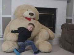 Оживший плюшевый медведь напугал мальчика