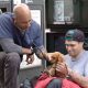 Ветеринар ходит по улицам и лечит питомцев, принадлежащих бездомным людям