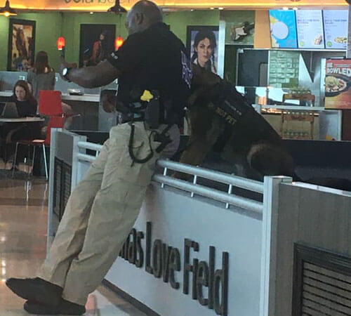 Полицейский не только сделал селфи со своей собакой, но и показал людям результат съёмки
