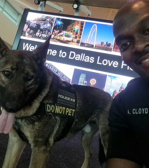 Полицейский не только сделал селфи со своей собакой, но и показал людям результат съёмки