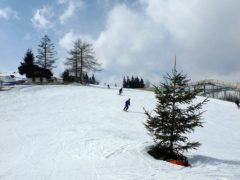 Покататься на лыжах и оздоровиться минеральной водой: пять причин поехать в Удмуртию