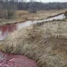 Вода в ручье стала красной из-за разлившихся чернил