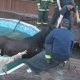 Отправившись бродить по двору, лошадь провалилась в бассейн