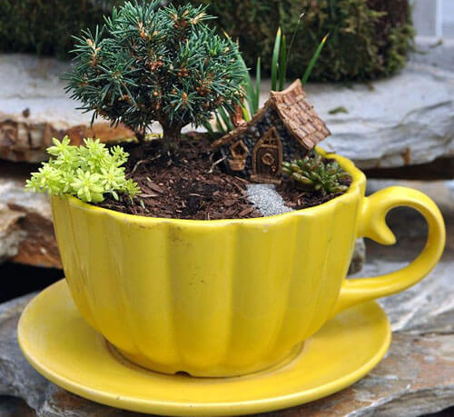 Крошечные сады в чайных чашках становятся прекрасным украшением интерьера
