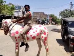 Разрисованная полицейская лошадь многим не понравилась