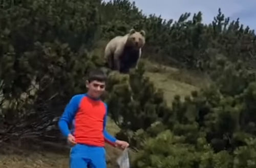 Появление медведя не заставило мальчика потерять самообладание