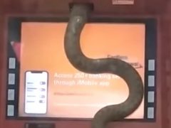 Змея приползла в банк и спряталась в банкомате