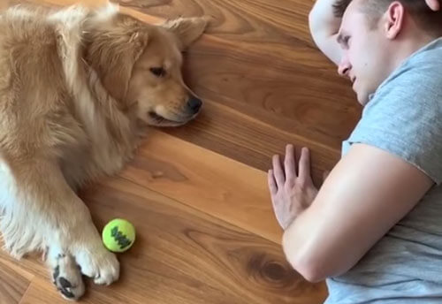 Хозяин и его собака показали, что такое ленивая игра в мяч