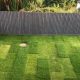 Подросший газон удивил домовладелицу своим странным прямоугольным стилем