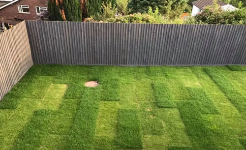 Подросший газон удивил домовладелицу своим странным прямоугольным стилем