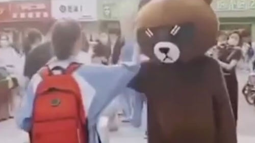 Забавный медведь, встретивший девушку из школы, оказался её матерью