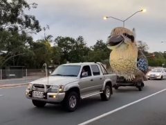 Чудак катается по улицам в компании гигантской хихикающей птицы