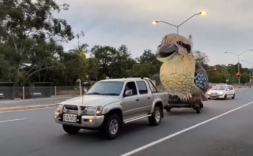 Чудак катается по улицам в компании гигантской хихикающей птицы