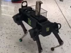В магазине поселился робот-собака, предлагающий покупателям продезинфицировать руки