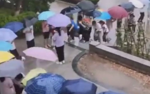 Школьники сделали коридор из зонтов для младших товарищей