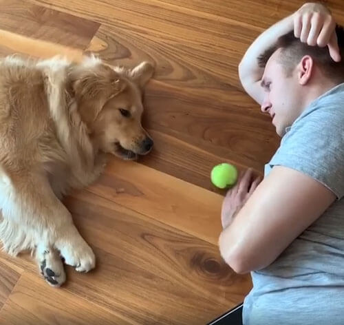 Хозяин и его собака показали, что такое ленивая игра в мяч