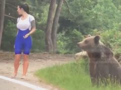 Общение с диким медведем чуть было не закончилось слишком плохо