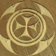 Фермер удивился таинственному символу, появившемуся у него на поле