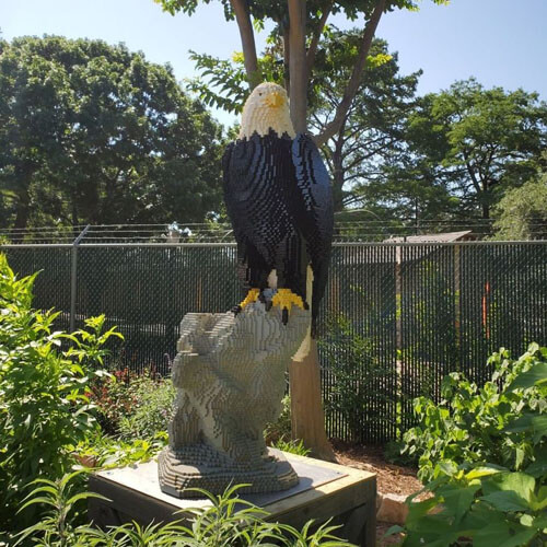 Посетители зоопарка могут посмотреть не только на живых зверей, но и на удивительные скульптуры