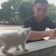 Добрые военные не бросили в беде котёнка, пострадавшего от наводнения