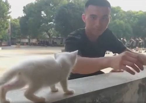 Добрые военные не бросили в беде котёнка, пострадавшего от наводнения