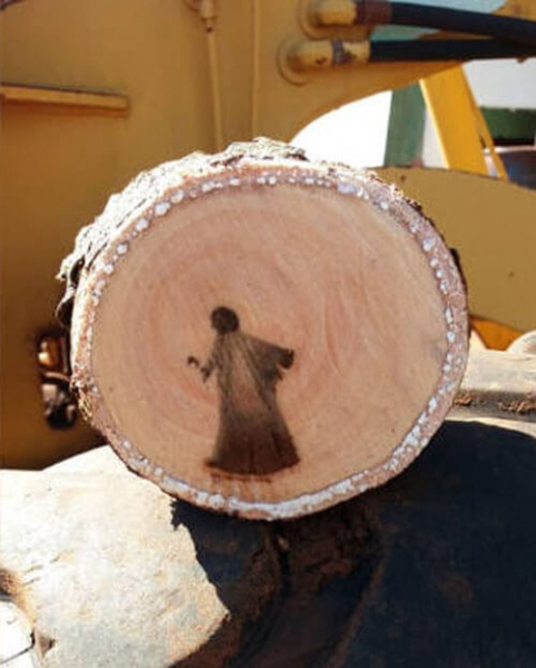 Рабочие, подрезавшие деревья, обнаружили божественное изображение