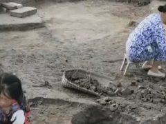 Археологи удивились, обнаружив глиняную фигурку, похожую на персонажа известной игры