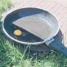 Воспользовавшись жаркой погодой, мужчина приготовил себе яичницу