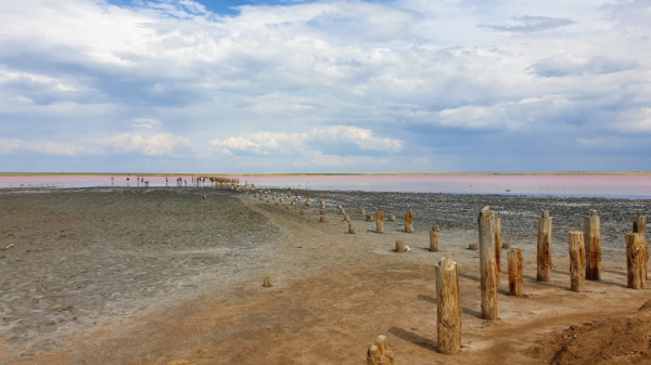 Розовые озера Казахстана Кобейтуз и Коряковка оказались под угрозой из-за большого наплыва туристов