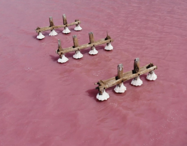 Розовые озера Казахстана Кобейтуз и Коряковка оказались под угрозой из-за большого наплыва туристов