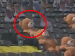 Плюшевый мишка, следящий за игрой в бейсбол, получил мячом по голове