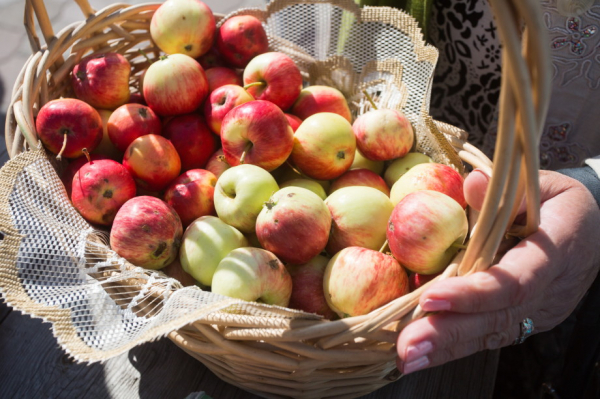 Яблочный Спас: в чем главный смысл праздника?