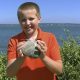 Удачливый мальчик обнаружил очень крупного моллюска