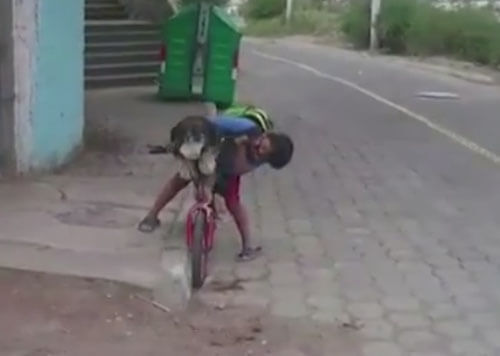 Отправляясь с собакой в поездку на велосипеде, мальчик не забыл о маске для питомицы