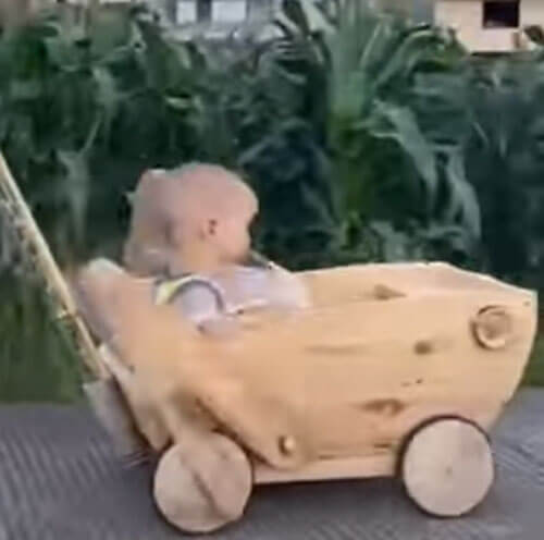 Малыш получил возможность похвастаться оригинальной коляской