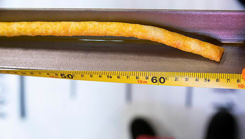 Необычайно длинная кукурузная палочка стала рекордной