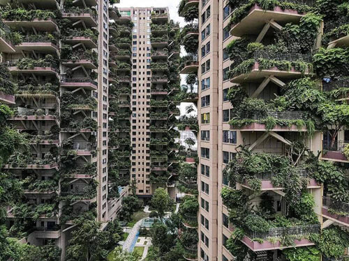 Жилой комплекс, превращённый в экзотический лес, стал кошмаром для жильцов