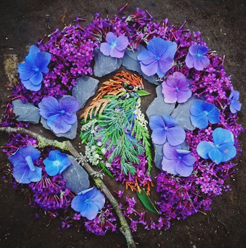 Портреты птичек создаются с помощью красивого ботанического искусства