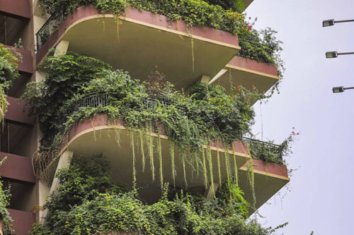 Жилой комплекс, превращённый в экзотический лес, стал кошмаром для жильцов