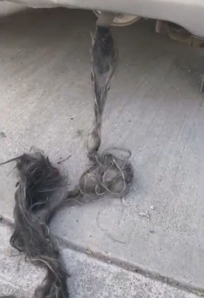 В выхлопной трубе нашлась целая верёвка из отвратительных «волос»