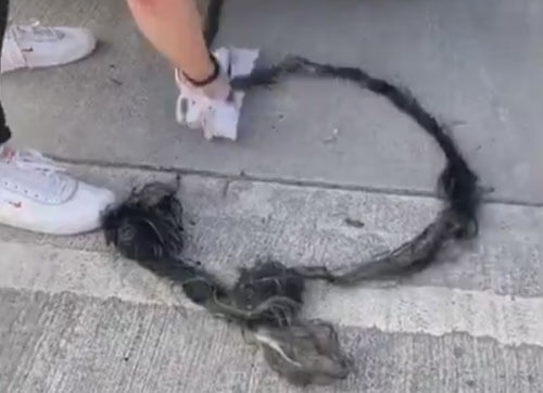 В выхлопной трубе нашлась целая верёвка из отвратительных «волос»