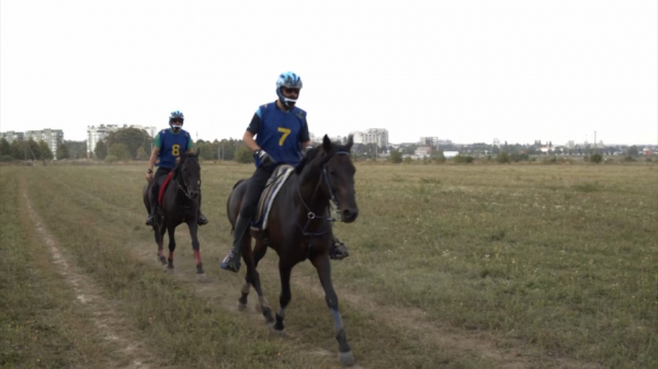 Незаслуженно забытая: в Кабардино-Балкарии возрождают легендарную породу лошадей