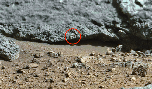 Изучив фотографию с Марса, можно поверить, что когда-то на планете была вода